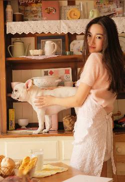 巡回检察组免费观看全集完整版