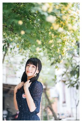 朝雪录电视剧免费观看全集高清