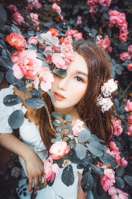 延禧攻略电视剧免费完整版在线观看